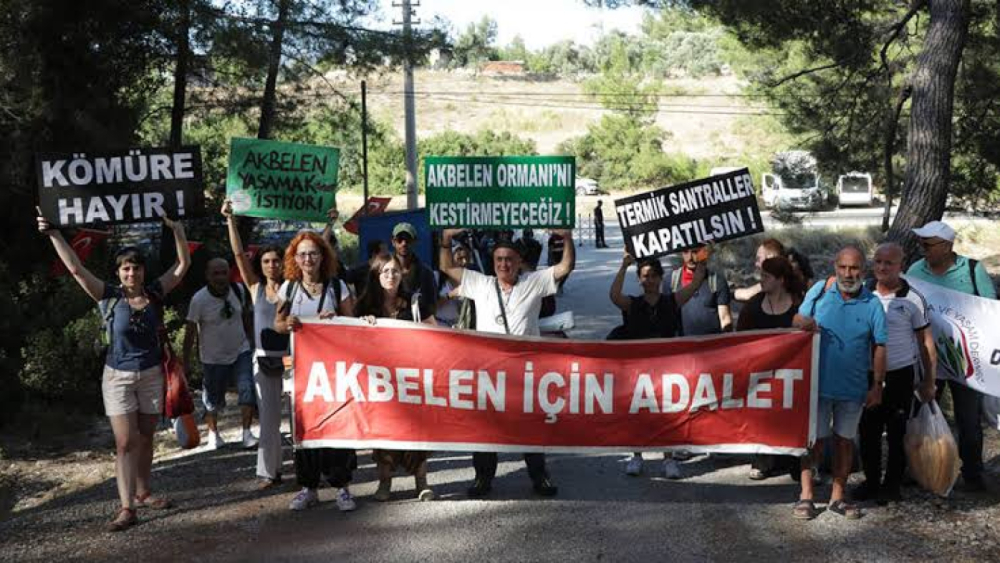 Akbelen Ormanı ve Zeytinliklerin Yok Oluşu: Suyun ve Toprağın Satışı